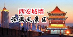 外国大鸡巴操黑逼视频软件下载中国陕西-西安城墙旅游风景区